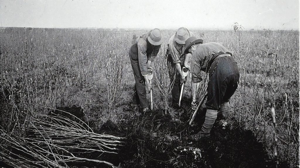 5 Best ERP Systems for Professional Meeting, Convention and Exhibition Planning Management