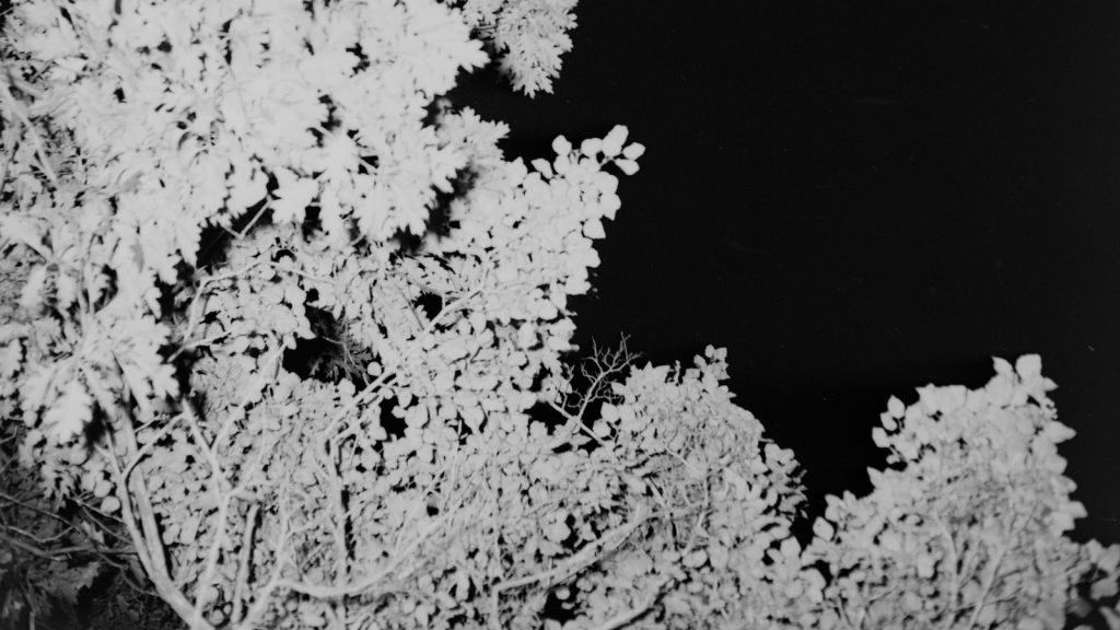 Enhance Your Business with These Top 5 Executive Search and Recruitment ERP Systems