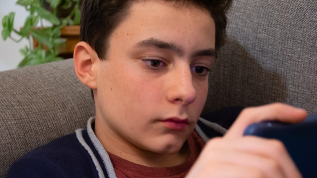 Discover the Top 5 ERP Systems for Information Technology Consulting and Services