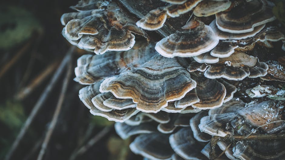 5 ERP Systems from Education & Infrastructure Development Organizations: the Best Solutions for Smarter Growth 5 5 ERP Systems from Education & Infrastructure Development Organizations: the Best Solutions for Smarter Growth
