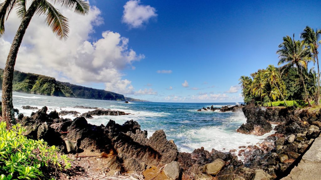 Discover the Top 5 Vacation Rentals and Timeshares to Optimize Your ERP System!