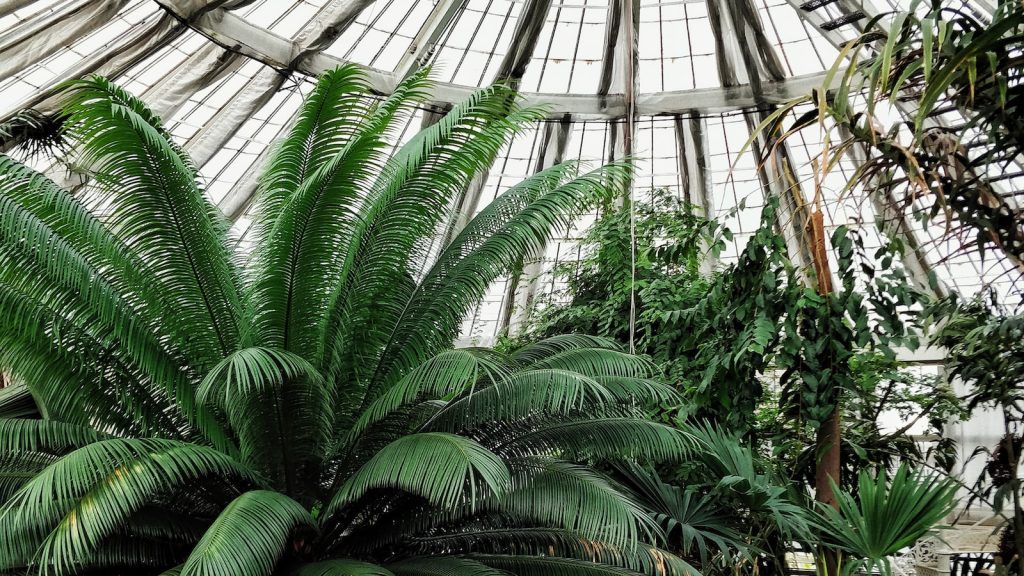 Top 5 Eco-tourism ERP Systems to Help You Cut Carbon Emissions