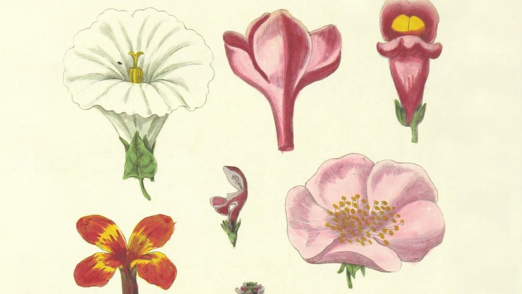 Unlock the Manufacturing Efficiency: The Top 5 ERP Systems to Power Your Growth