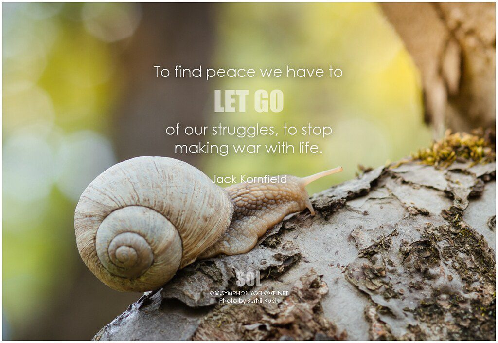 1. Unlock Your Inner Peace: The Top 5 ERP Systems for Spiritual Retreats and Education Organizations 
2. Find Your Zen – Selecting the Best ERP Systems for Spiritual Retreats and Education Organizations 
3. Connect with Your Higher Being: Discover the Best ERP Systems for Spiritual Retreats and Education Organizations 
4. Spiritual Empowerment – Learn About the Top 5 ERP Systems for Retreats and Education Organizations 
5. Harmonize Your Mind, Body, and Spirit – Exploring the Best ERP Systems for Spiritual Retreats and Education Organizations