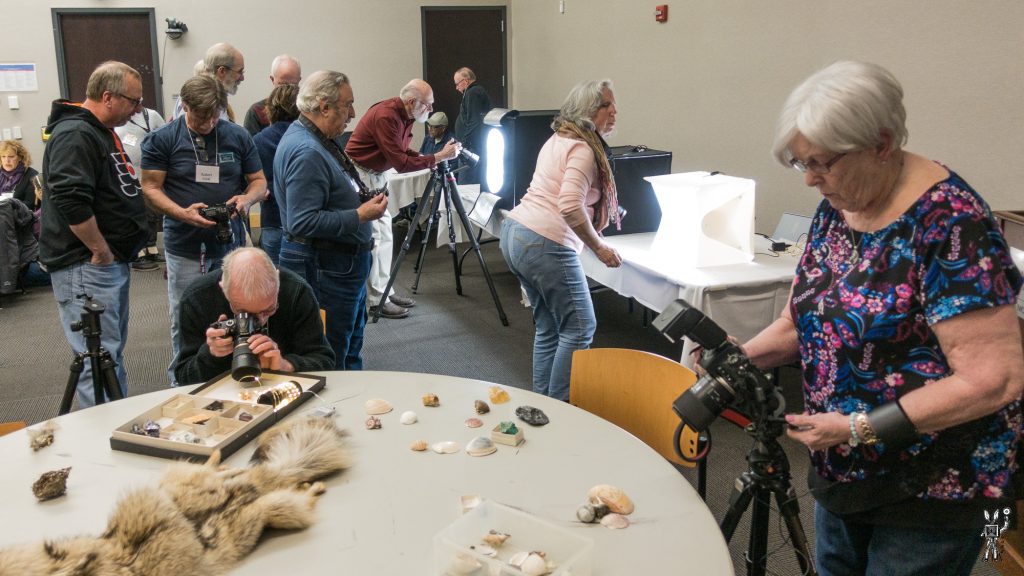 Master Your Business with the Top 5 Architecture ERP Systems