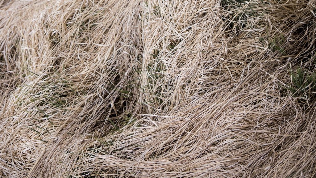 5 Costly ERP Mistakes to Avoid: Crucial Advice for Founders Before Implementation