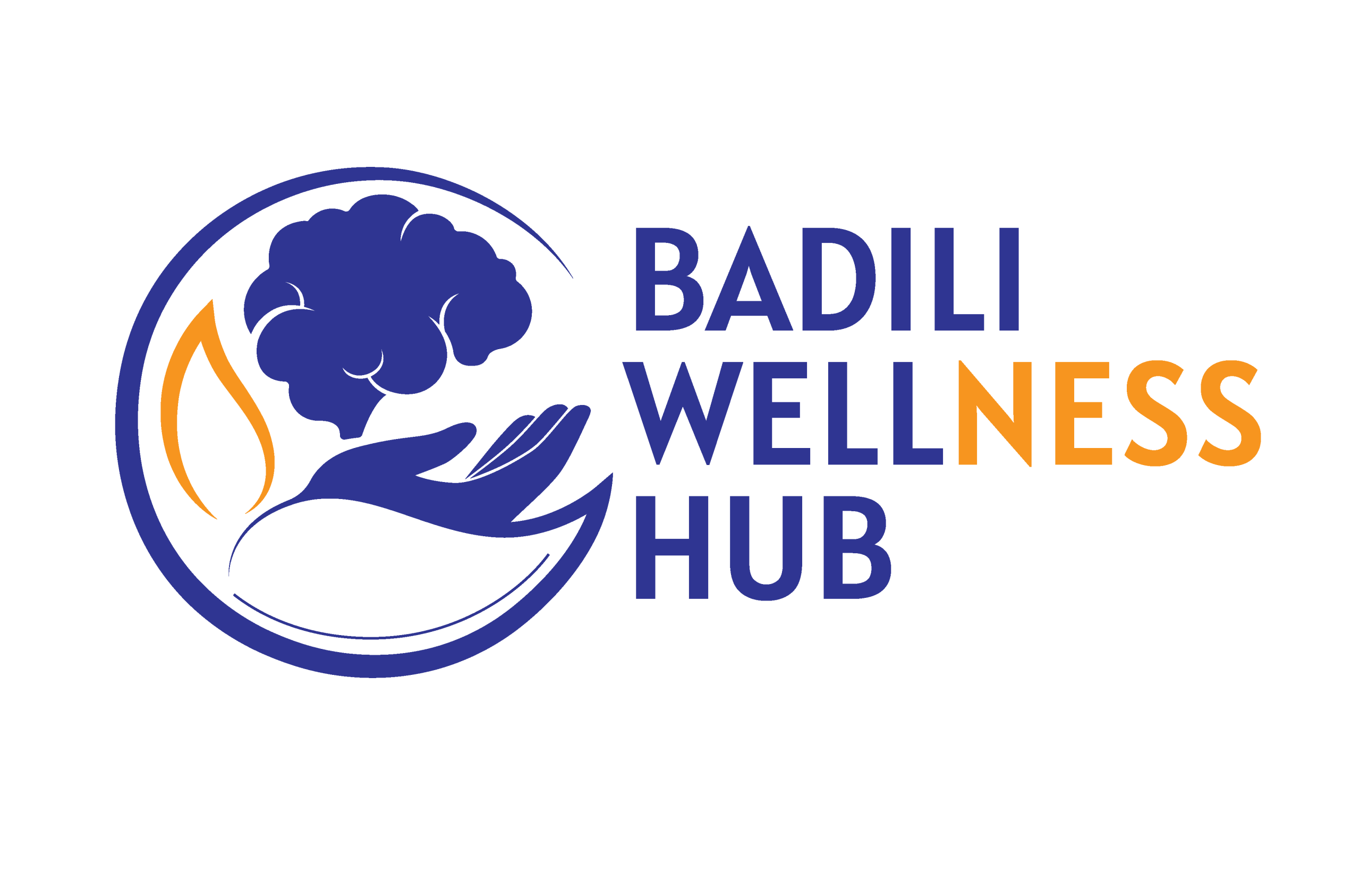 badili scaled
